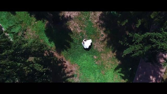 Свадебный тизер | Дмитрий и Юлия | Wedding Teaser | Premium Film Production |  Panasonic S1