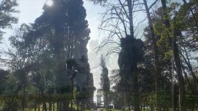 Агудзера дендропарк 2020.mp4