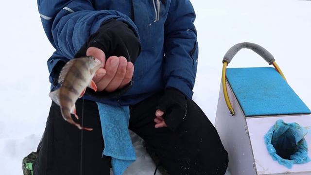 Зимние игры и рыбалка в с. Верхние Услы смотреть онлайн