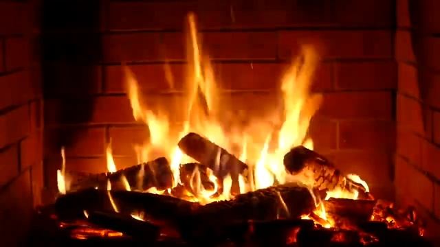 Разгромная критика атеизма / Извинение перед Иоганном Себастьяном.