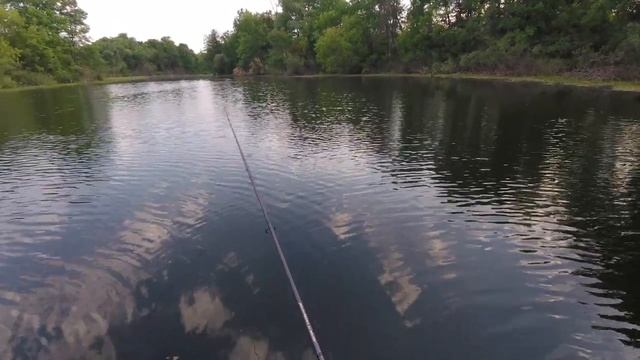 Тестирование мягких приманок Pike Hunter. Копии Pontoon21 Awaruna и Keitech Easy shiner. смотреть онлайн