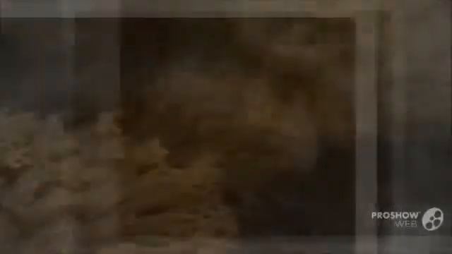 Ramaria gelatinosa - fungi kingdom смотреть онлайн