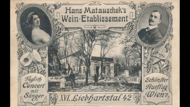 Hans Matauschek mit Therese Hafenscher - Wann i kan Wein mehr mag смотреть онлайн