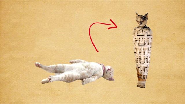 The black cat superstition смотреть онлайн