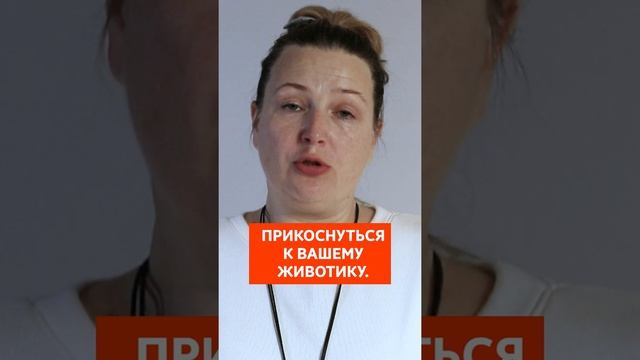 ТВОЙ СТАРШИЙ МАЛЫШ УДАРИЛ БЕРЕМЕННЫЙ ЖИВОТИК #Shorts смотреть онлайн