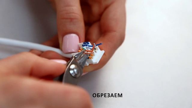 Простая инструкция по монтажу модуля Keystone RJ45 CAT 5е. Специальный инструмент вам не пригодится смотреть онлайн