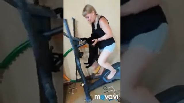 Смешное занятие кошки  на эллипсоиде