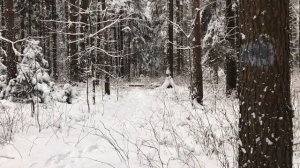 Командировка в колхоз удалась, парни её не забудут. Истории любви из жизни. Любовные аудио рассказы