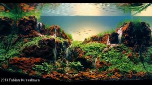 аквариумистика. Самые красивые аквариумы .