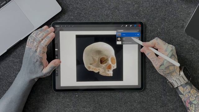 How To Trace A Photo In Procreate | Procreate Tips And Tricks смотреть онлайн