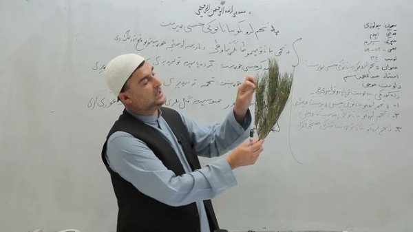 اووم ټولګی بیولوزی درس ۳۲ په تخم لرونکو نباتاتو
