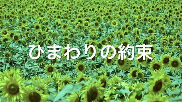 ひまわりの約束 / 秦 基博 ハーモニカ合奏 N.K（ギター伴奏） смотреть онлайн