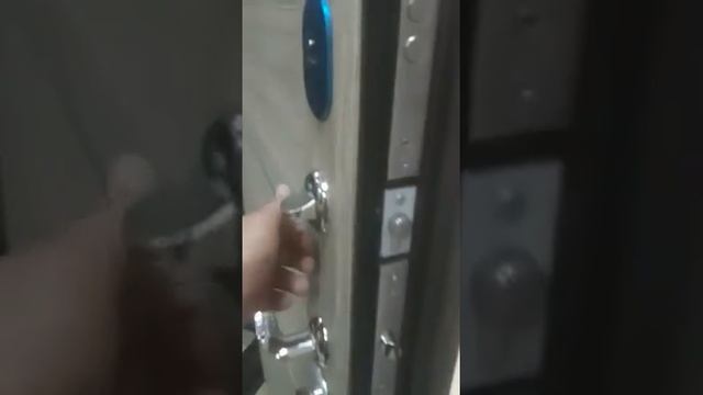 Входная дверь Троя серебро 10 см дымчатый дуб смотреть онлайн