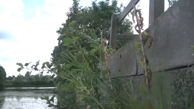 Quad Proof Test : Testing in a Lake : JVC Everio GZ-R10 : Under water : 1080p [HD] смотреть онлайн