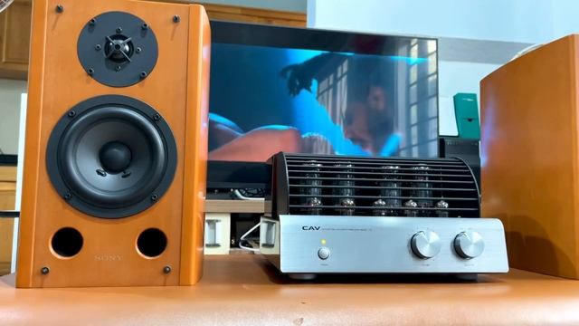 Thực sự Quá hay luôn quý vị Loa Bookself Sony SS-AL3 và Amply đèn CAV T-5 LH: 077.202.0010 смотреть онлайн