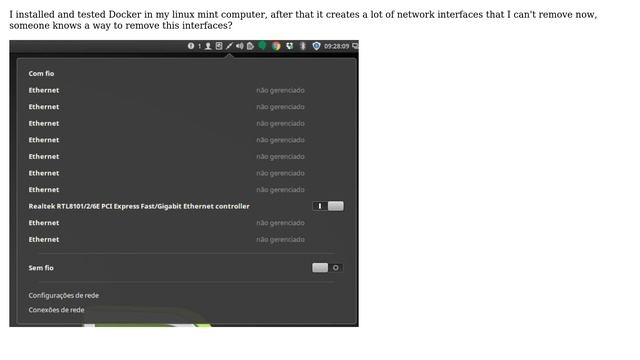 Linux Mint showing a lot of interfaces after test Docker смотреть онлайн