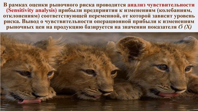 Оценка финансовых рисков ?: управляем беспрерывностью деятельности ? смотреть онлайн