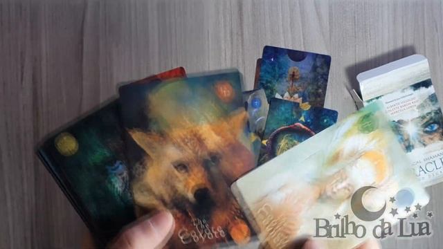 Apresentação Mystical Shaman Oracle смотреть онлайн