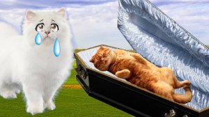 Кота Рыжека УБИЛИ! Слово Пацана!