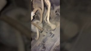 Стук двигателя спектра