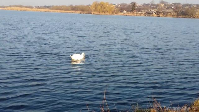 Балта. Река Кодыма . 🌄 Spring Sunrise . Part 2. Nature of Ukraine 🌏 2019 смотреть онлайн