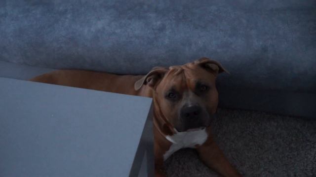 Домашний кинотеатр 2 часть. Экран смотреть онлайн