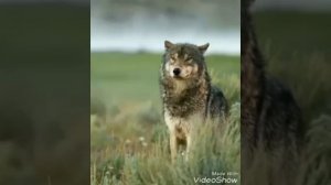 Самые красивые слова жизни!!!