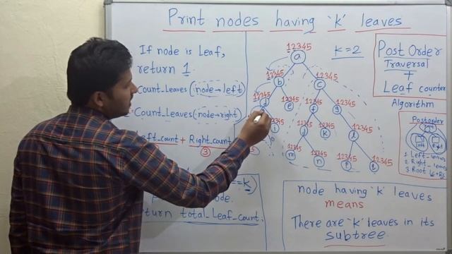 Nodes having 'K' leaves in its SubTree Algorithm смотреть онлайн