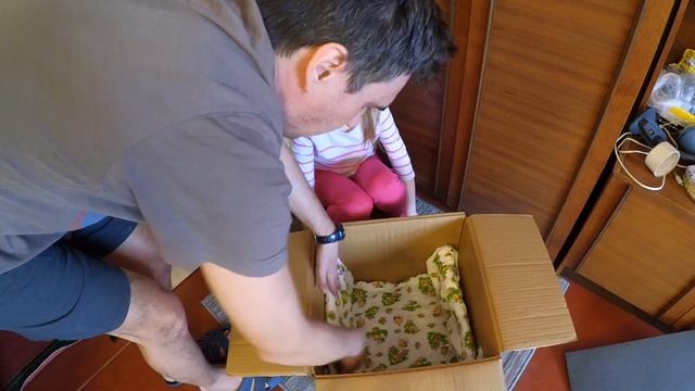 Домик для котят смотреть онлайн