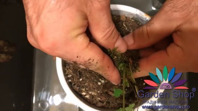 Строительный Арсенал