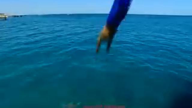 Tatil World Of Wonders 2007 (director önder yıldırım) смотреть онлайн