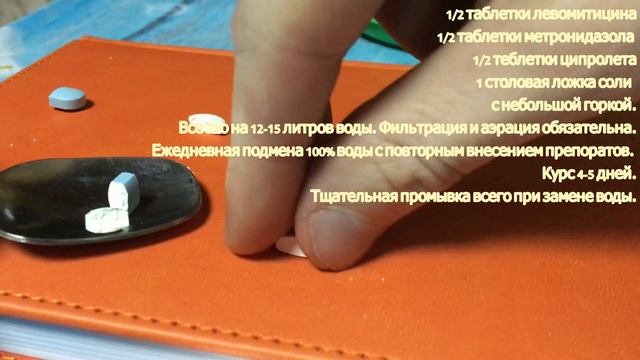 Лечение аквариумных рыбок смотреть онлайн