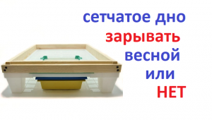пчёлы. Если закрыть сетчатое дно, будет много влаги в улье? И когда можно закрывать?