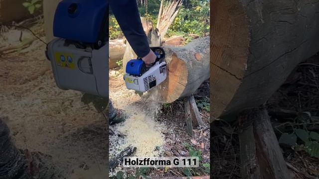 Бензопила Holzfforma G 111 (Stihl MS 200T) смотреть онлайн