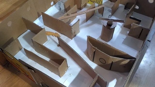 ЛАБИРИНТ ДЛЯ ЭУБЛЕФАРОВ / ЭТО ПРОТИВ ПРАВИЛ! смотреть онлайн