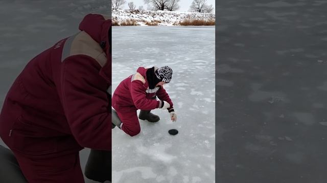 Щучка позарилась на карасика смотреть онлайн