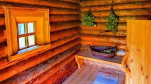 Что лучше для бани, ель или сосна; отзывы на сосновую древесину, плюсы и минусы использования