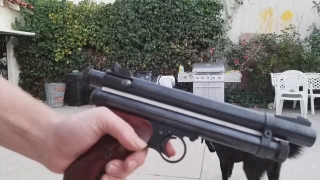 Shooting the rare 1960's Nelson 707 paint/paintball marker, old brass. смотреть онлайн