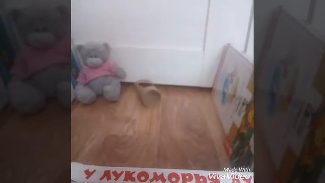 Как сделать игровую площадку для хомяка? смотреть онлайн