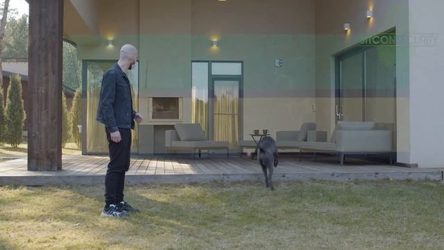 Informatie Video Ajax Motion Protect Outdoor смотреть онлайн