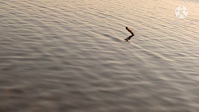 Новолуганское2020г.К берегу (моря) смотреть онлайн