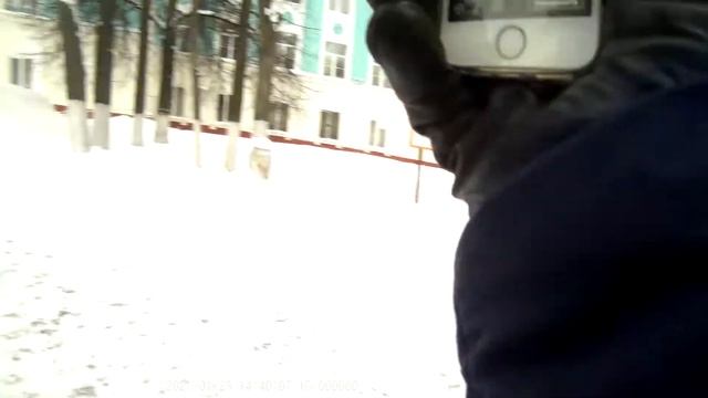 хроника событий 23 января из Чебоксары смотреть онлайн