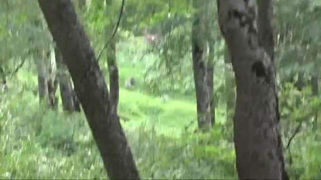 Крым, природный заповедник смотреть онлайн