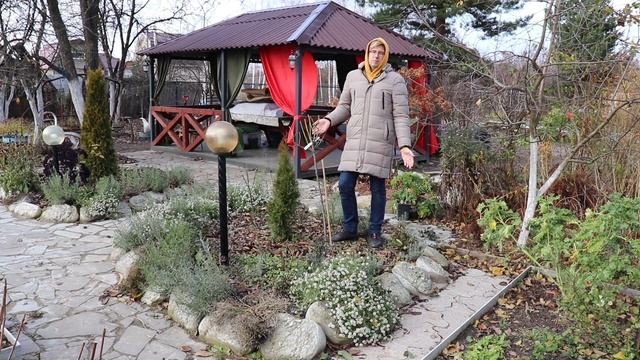 Как правильно укрывать штамбовую розу на зиму? смотреть онлайн