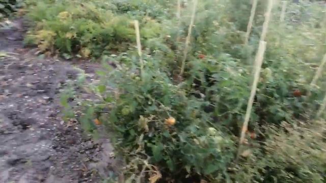 Дача осень наступает смотреть онлайн