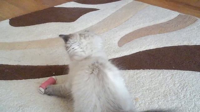 Невский маскарадный смотреть онлайн
