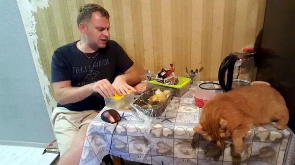 Прямая трансляция от Saveliy Ad