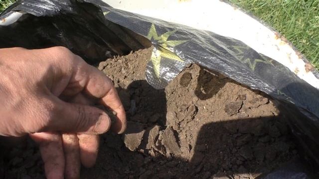 Чем кормить домашних кур несушек, что бы лучше неслись смотреть онлайн