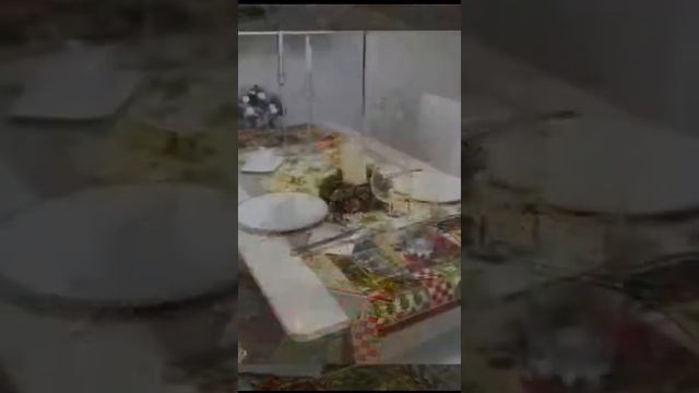Всем хорошего дня! Мои работы к Новому году.Скатерти и дорожки с Новогодней тематикой.