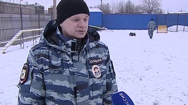 Нелёгкие собачьи профессии смотреть онлайн
